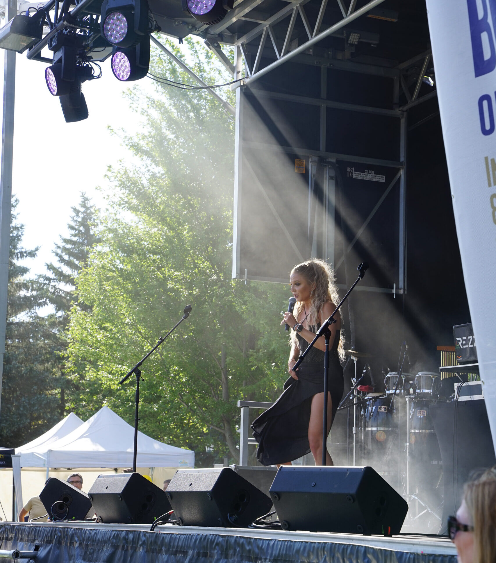 Festival food and crowd moment